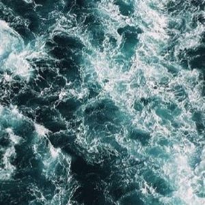 Meet your Posher, Anastacia